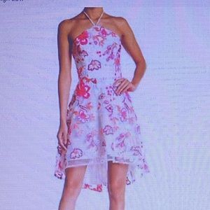 Pretty embroidered, NWT Boston proper